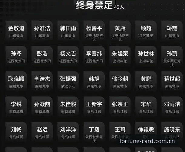 足球反腐风暴深度解析：如何理性看待中国足协第三批禁足名单完整指南